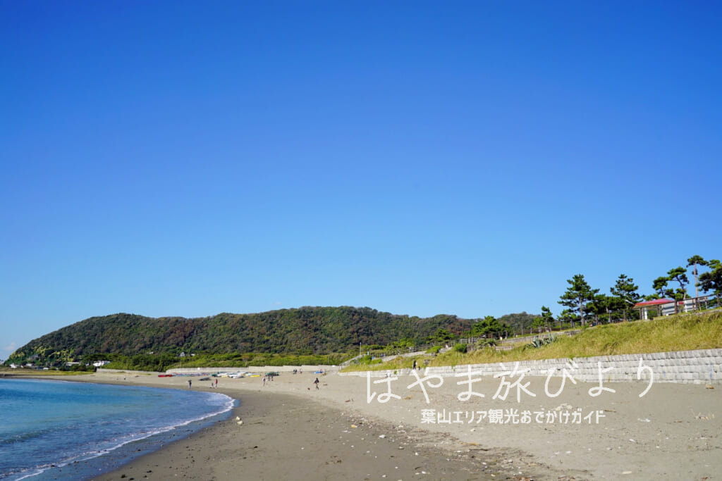 県立葉山公園・大浜海岸より見上げる（撮影日：2021.11.05）