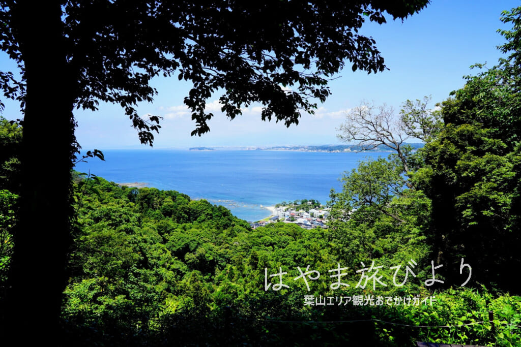 県立はやま三ヶ岡山緑地・山頂広場より森戸神社方面を望む（撮影日：2021.06.01）