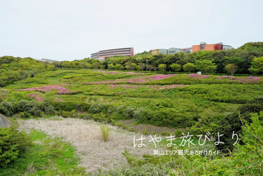 湘南国際村つつじが丘（撮影日：2024.04.26）