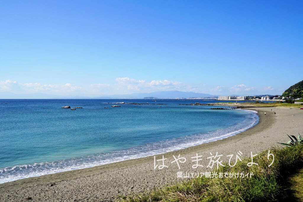 大浜海岸・県立葉山公園から望む（撮影日：2021.11.05）