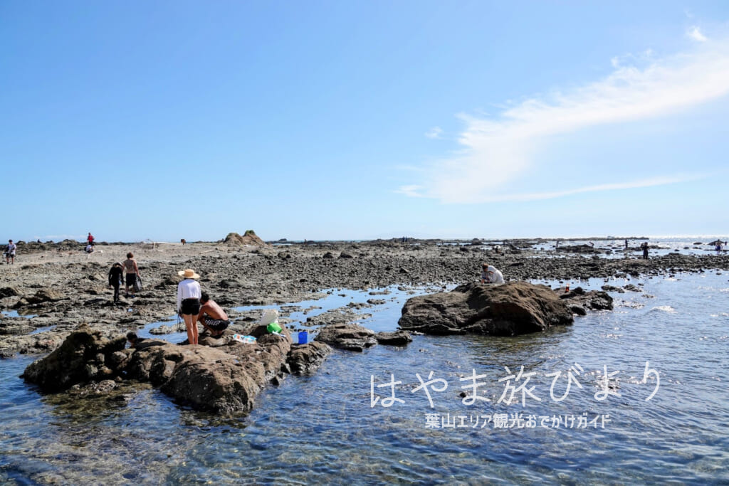 芝崎海岸（撮影日：2022.07.31）