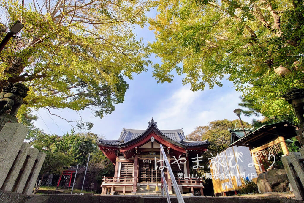 森山神社（森山社）・晩秋の社殿（撮影日：2023.11.16）