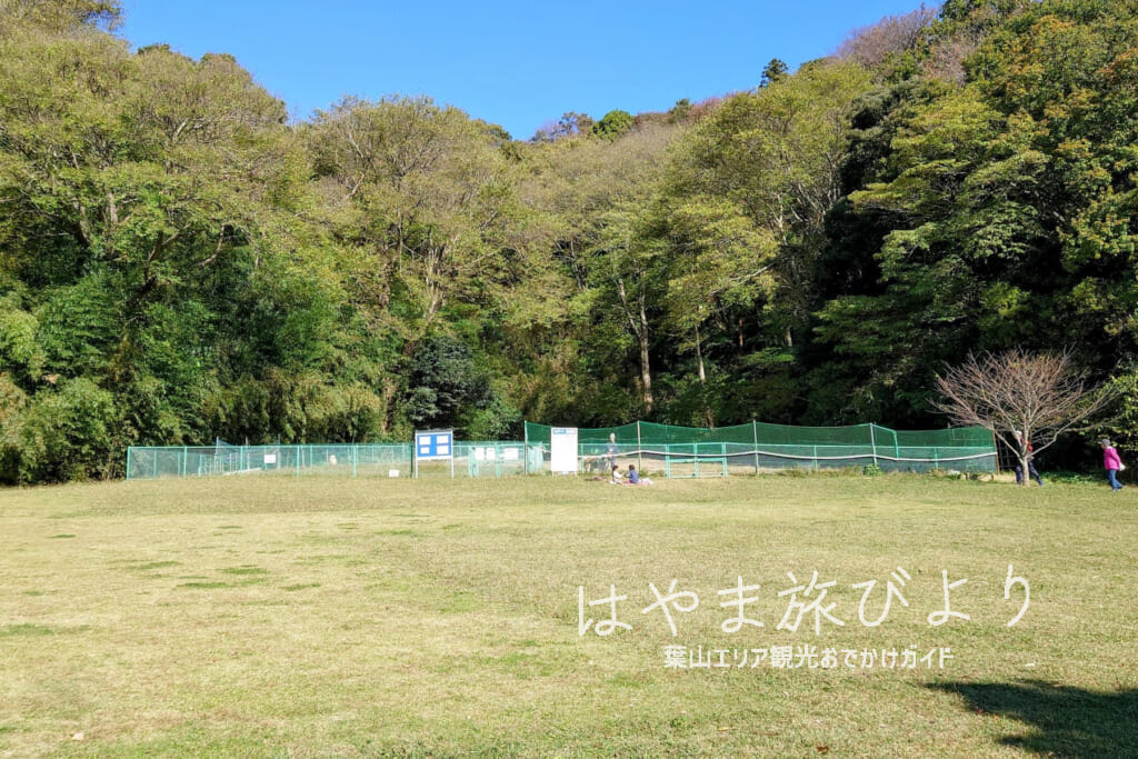 南郷上ノ山公園・ドッグラン（撮影日：2023.11.16）